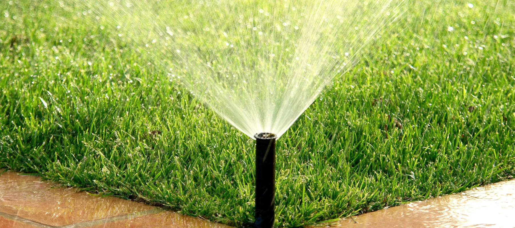 Lawn sprinkler watering green grass on a sunny day