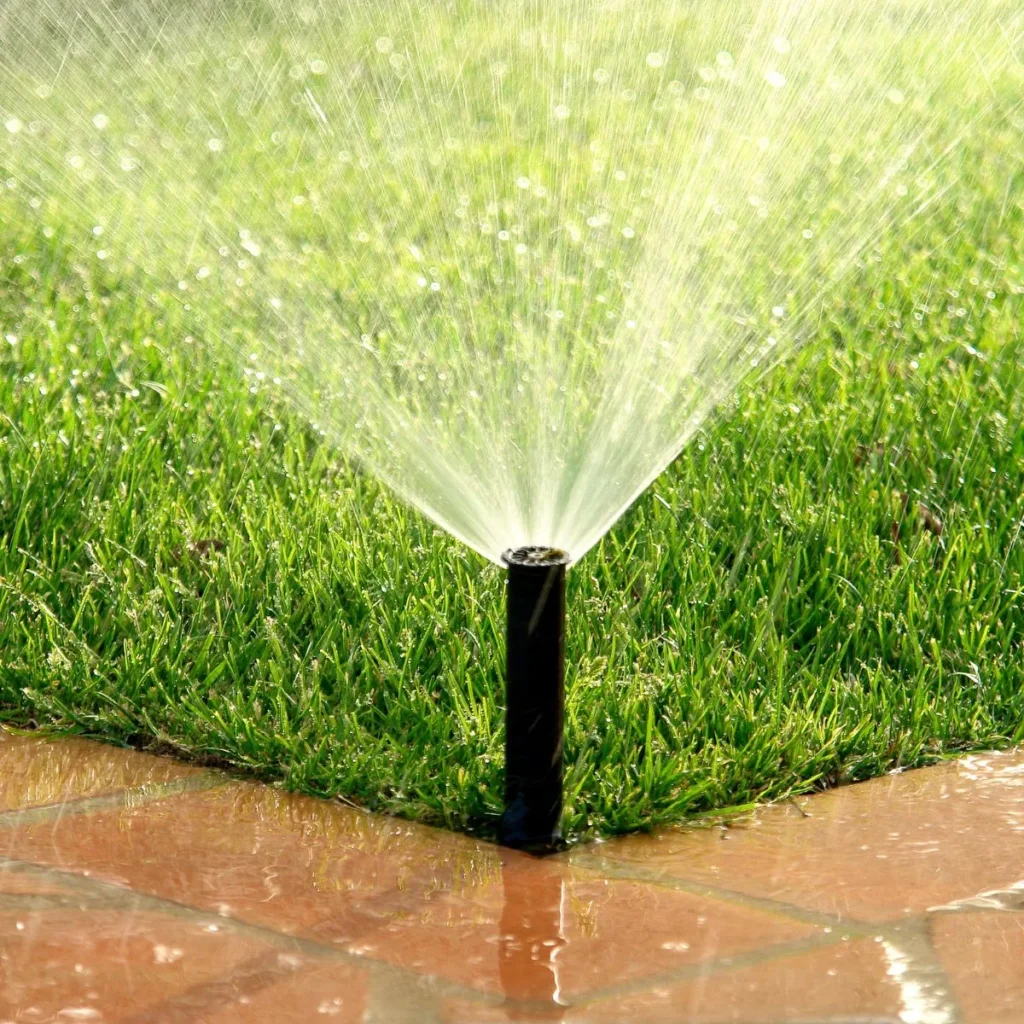 Lawn sprinkler watering green grass on a sunny day