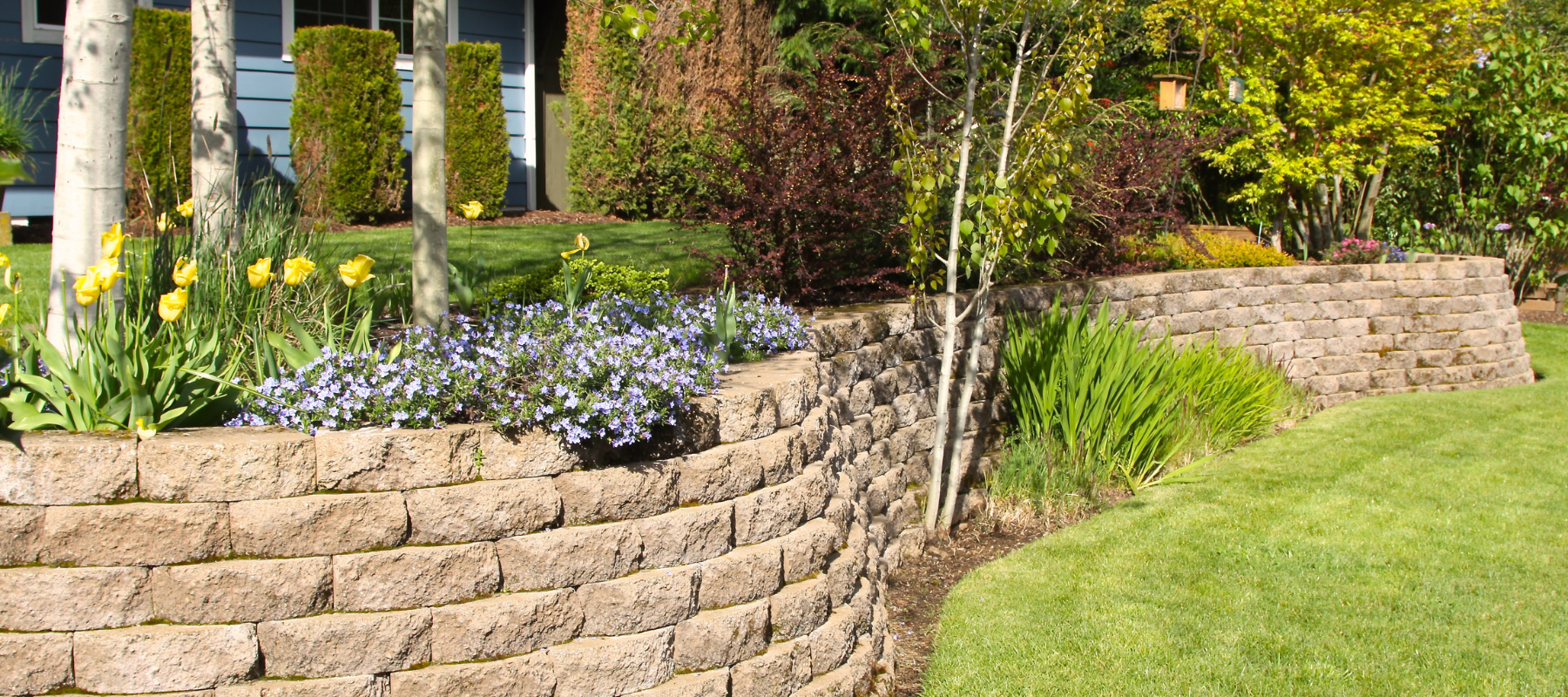Curved stone retaining wall with layered garden beds, flowers, and trees, showcasing Grounded Landscaping SA’s professional retaining wall installation and landscape design services.